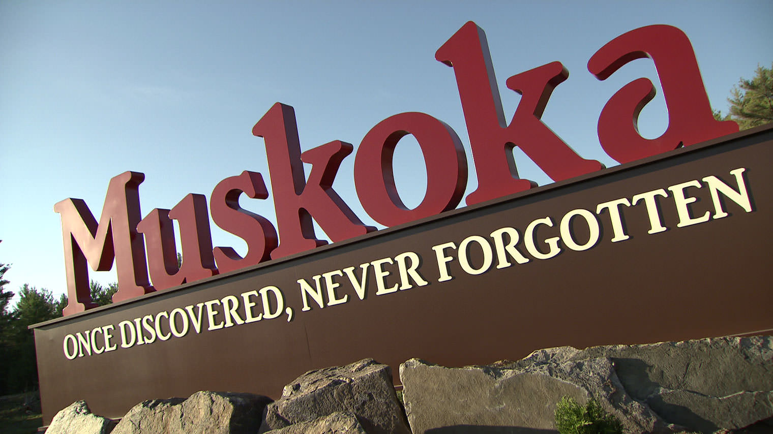 muskoka t