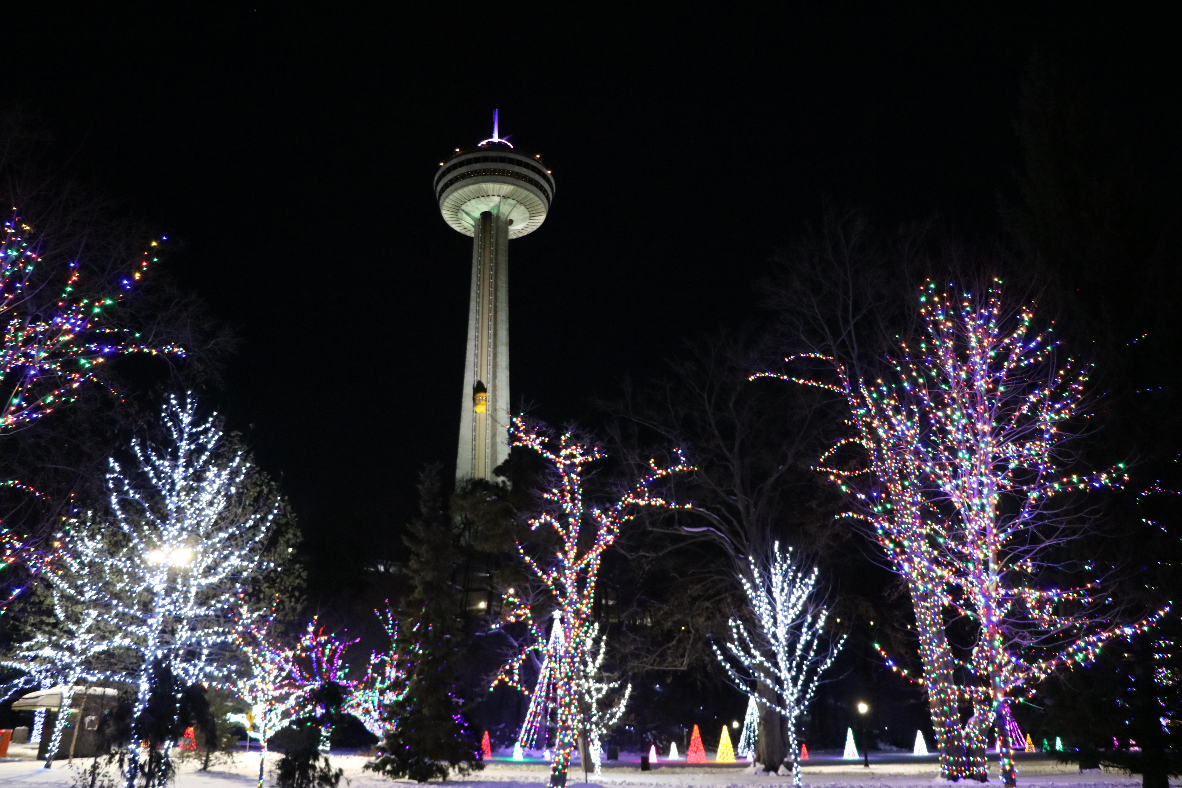 The Winter Festival of Lights