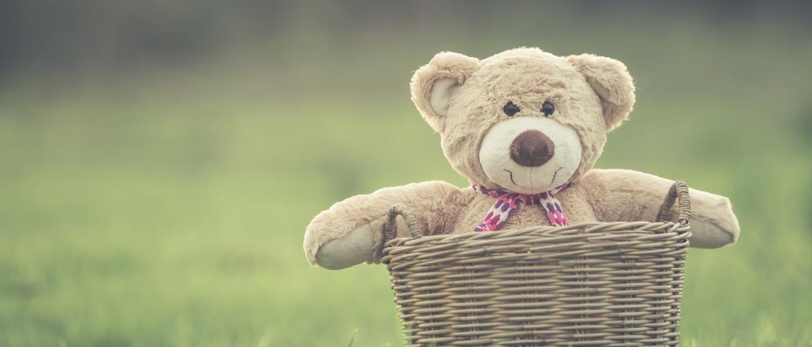 Teddy bear picnic returns to Morningstar Mill