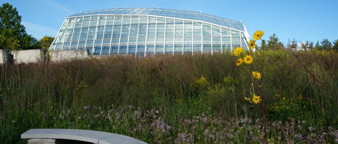 Niagara Parks to Host Majestic Monarchs: Annual Species Preservation Event