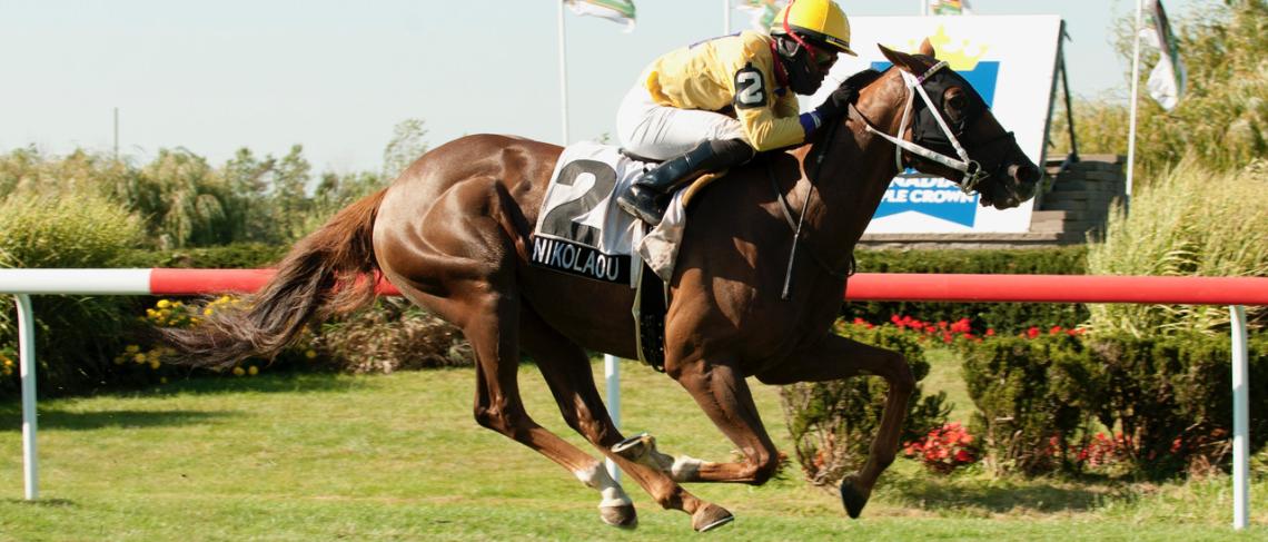 Nikolaou captures Puss N Boots Cup at Fort Erie Race Track