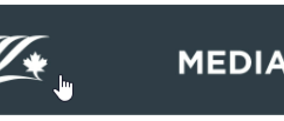 CALL FOR NON-PROFIT GROUPS & BUSINESSES TO PARTAKE IN CITY OF NIAGARA FALLS’ 2024 MYCITY GUIDE 