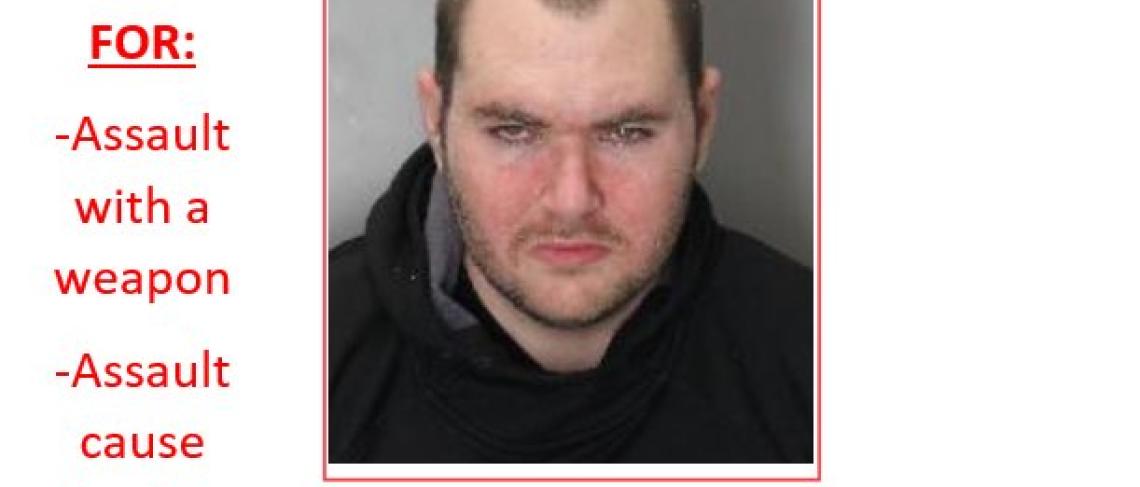 Male Wanted for Assault with a Weapon in Welland