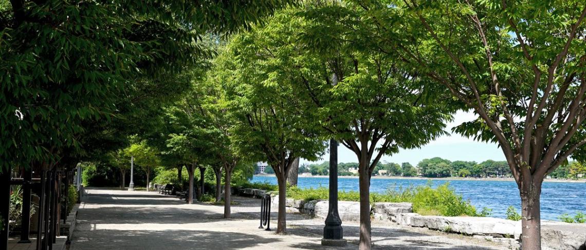 Fort Erie strengthens commitment to preserve and protect natural heritage