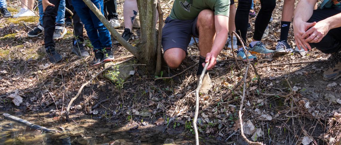 Calling nature lovers: Learn about native species at Niagara College’s Bioblitz on April 13