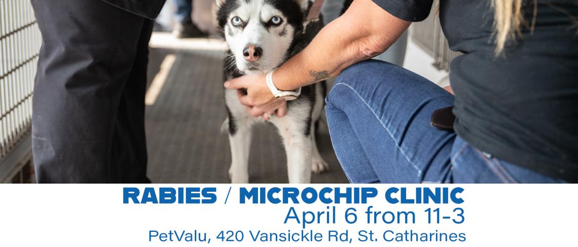 RABIES / MICROCHIP CLINIC APRIL 6th