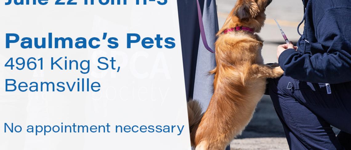 NIAGARA SPCA HOLDING RABIES / MICROCHIP CLINIC JUNE 22nd IN BEAMSVILLE