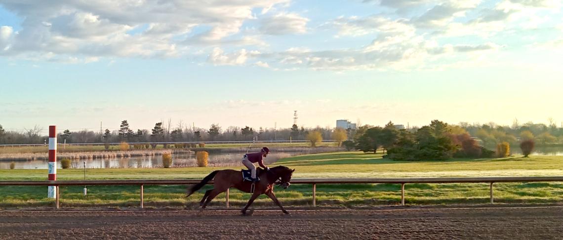 Horses spring into training for 127th season at Fort Erie Race Track