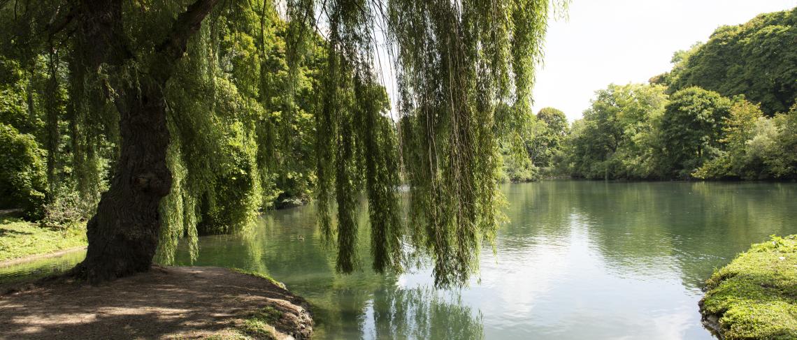 Niagara Parks Continues to Improve Sustainability Efforts at Dufferin Islands