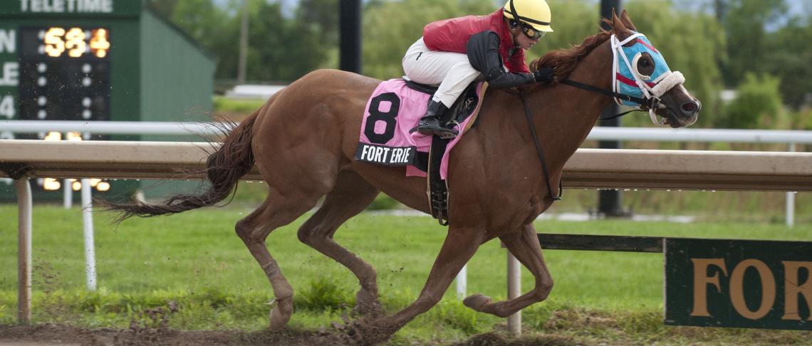 Opening Day wagering hits $1.9 million at Fort Erie Race Track - Rainy weather cuts race card short