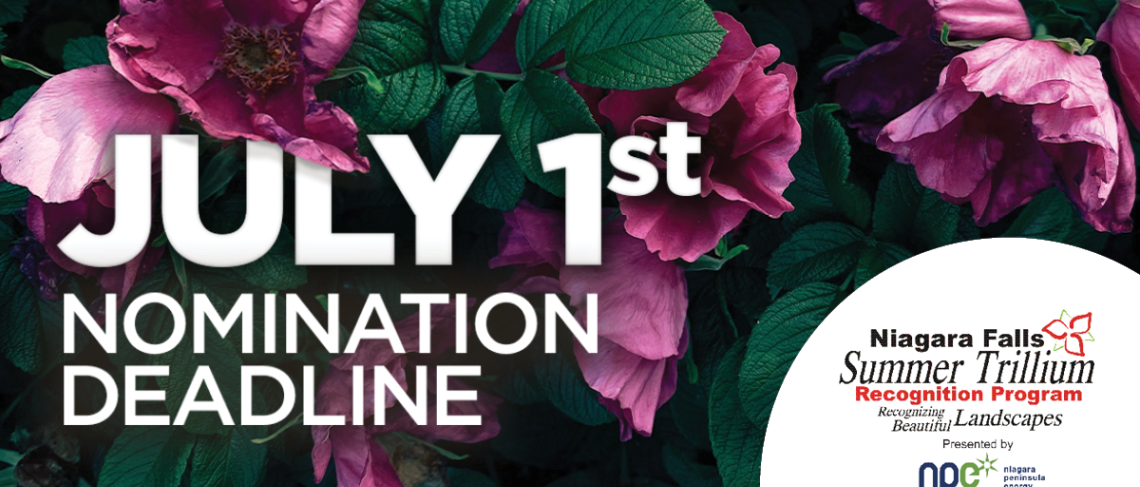 Nominations open June 1st for the 2024 Niagara Falls Summer Trillium Awards, presented by Niagara Peninsula Energy