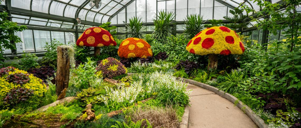 Take in the Splendour of the Annual Summer Show at the Floral Showhouse