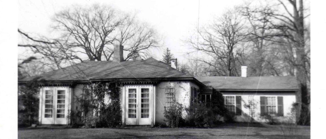 ‘THE WILDERNESS’: WORTH PRESERVING!