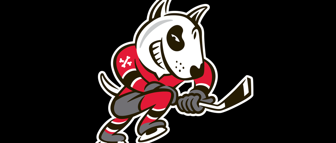 Local non-profits given opportunity to watch IceDogs play from community suite