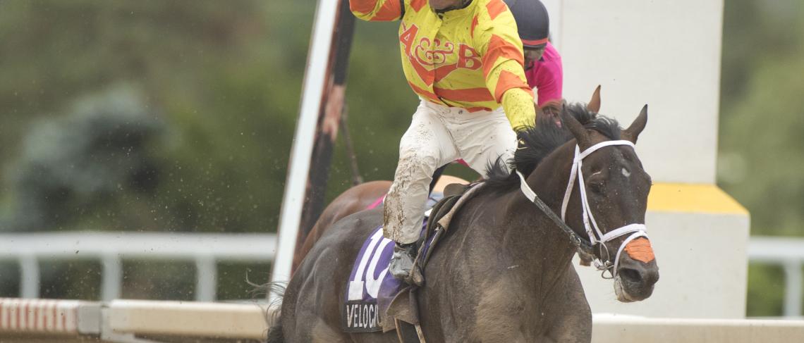 Ten horses nominated to Prince of Wales Stakes at Fort Erie