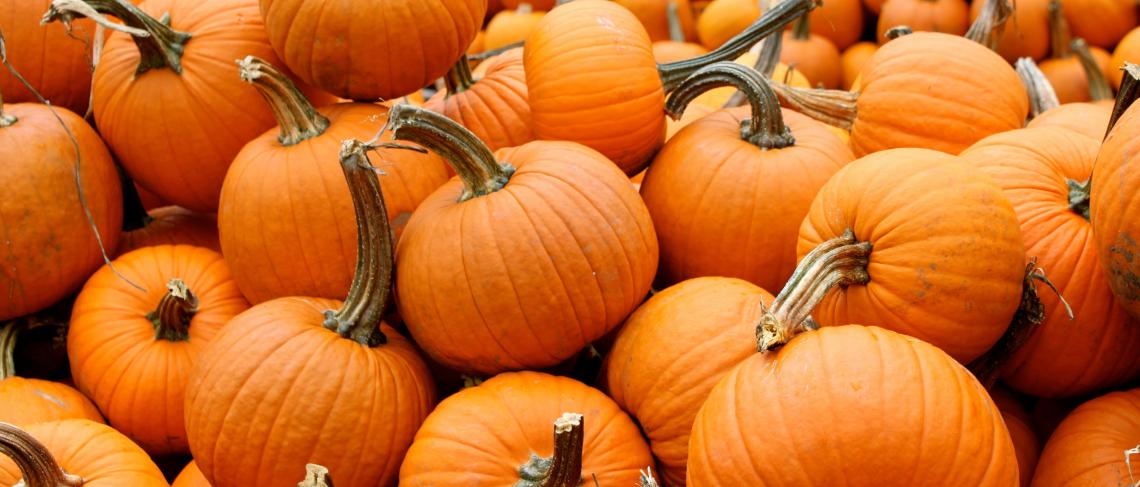 St. Catharines Pumpkinville returns to Happy Rolph’s