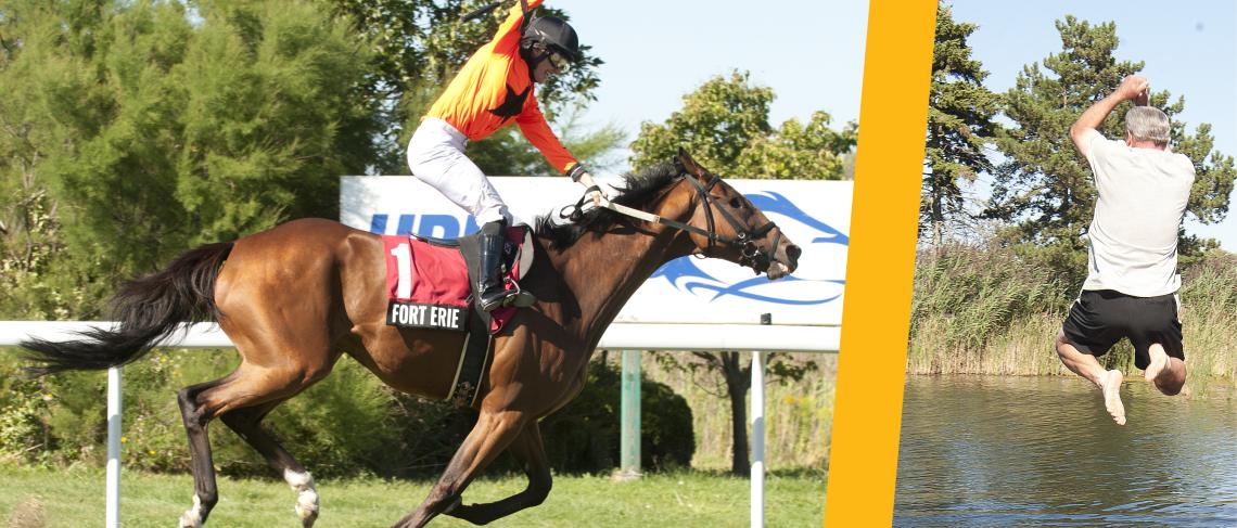 One-eyed wonder horse’ steals Puss N Boots Cup in Fort Erie