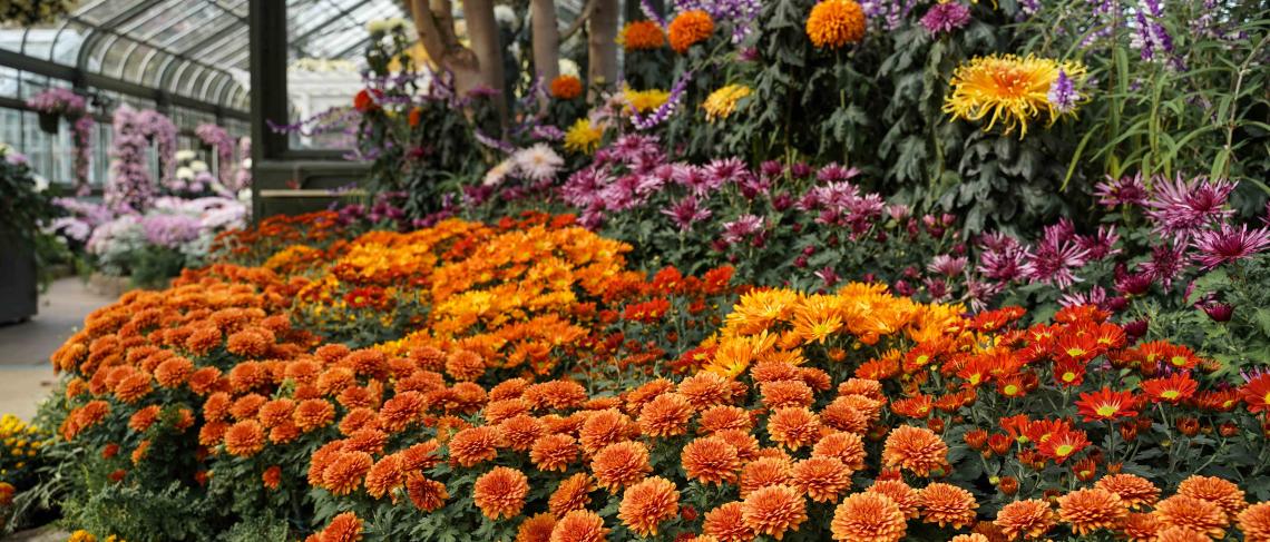 Fall Family-Friendly Fun at Niagara Parks this October