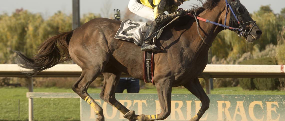Tour de Fort closes out Fort Erie Race Track season with a bang