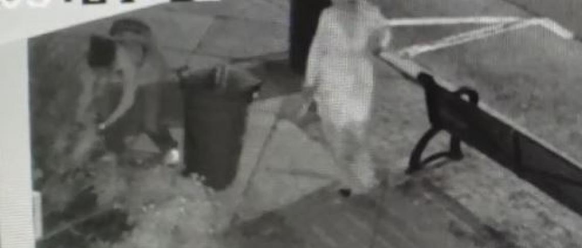 Unusual Gravenhurst Theft