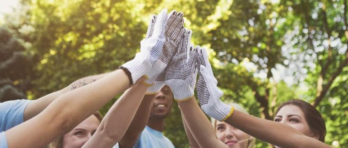 TD Tree Days event in Niagara Falls on Saturday, October 5