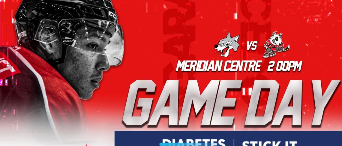 NIAGARA ICEDOGS TO HOST STICK IT TO DIABETES GAME, NOVEMBER 3RD