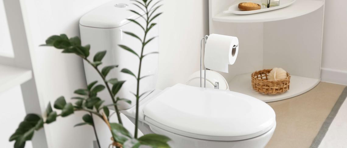 Celebrate World Toilet Day with Niagara Region