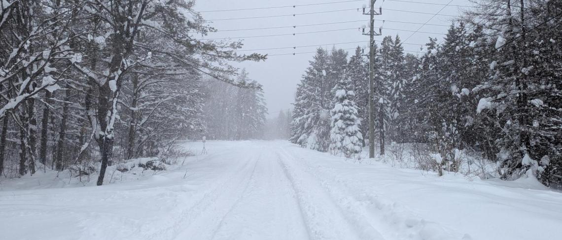 Snowy street