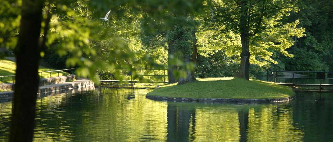 Niagara Parks to Implement Road Closures in Dufferin Islands