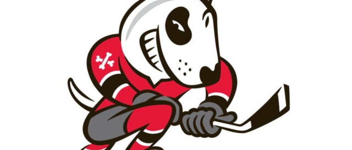 NIAGARA ICEDOGS TO HOST TALK TODAY GAME ON FEBRUARY 27TH IN SUPPORT OF MENTAL HEALTH AWARENESS