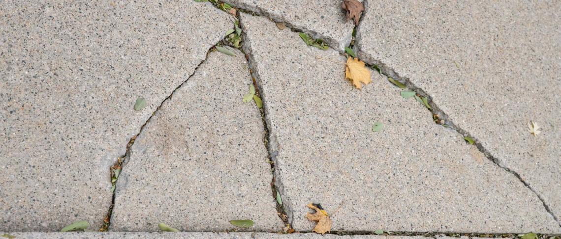 Sidewalk Replacement within Queen Victoria Park