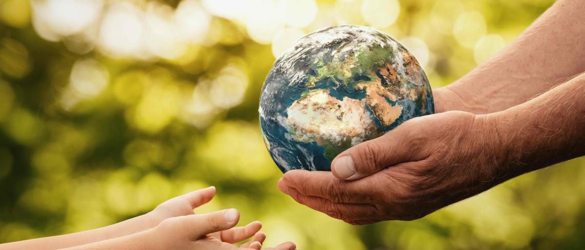 Port Colborne to celebrate Earth Day with free tree giveaway