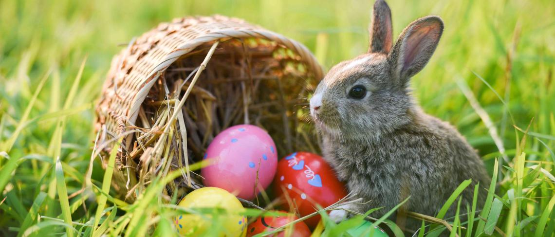 Easter Weekend 2025 Holiday Hours and Activities