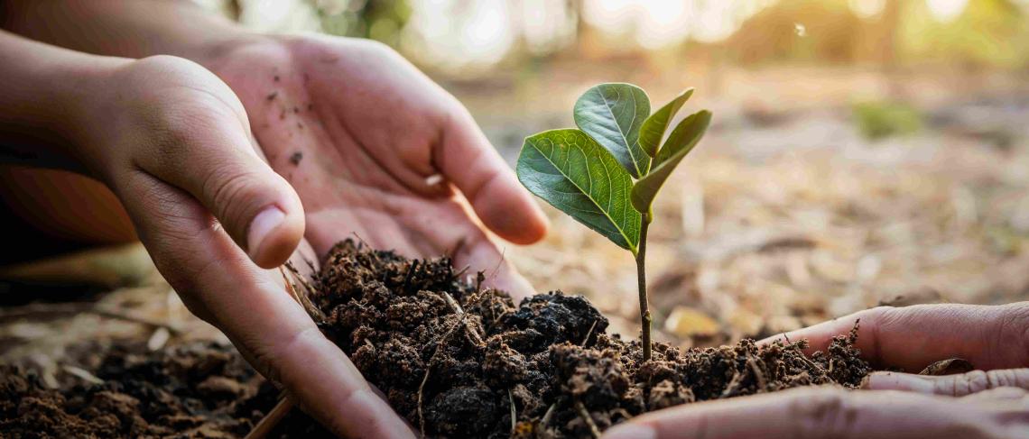 Spring Tree Giveaway registration set to open