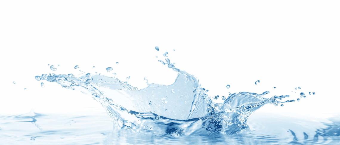 22nd annual Niagara Region Children's Water Festival returns to Brock University from April 29-May 2