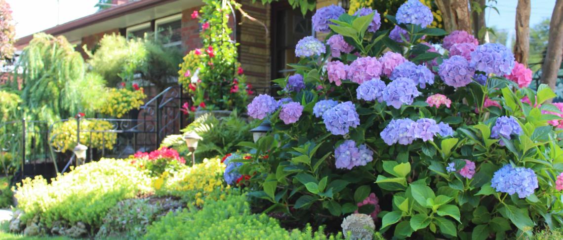 Nominate a garden for the St. Catharines Trillium Awards