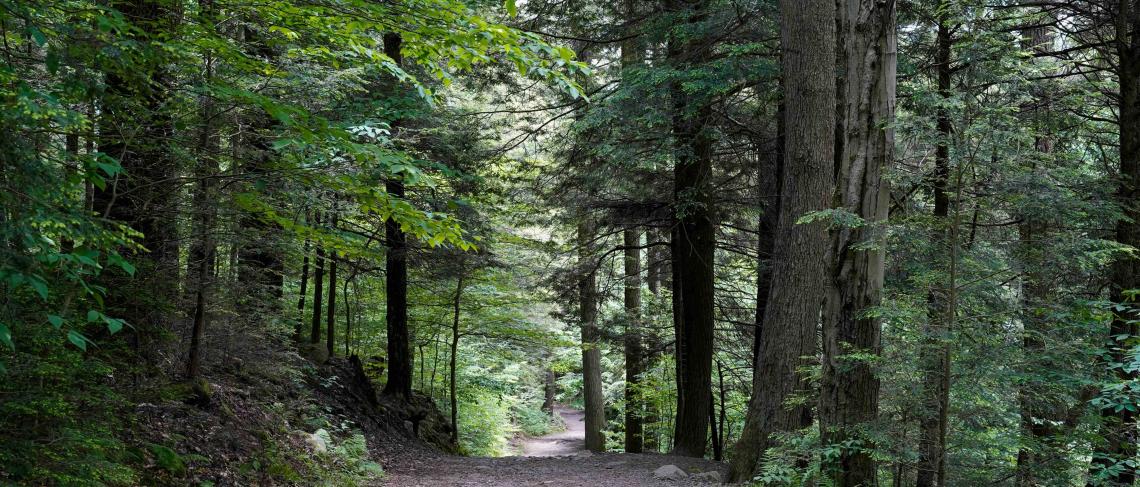 Temporary Closure of Fisherman’s Trail Until Further Notice