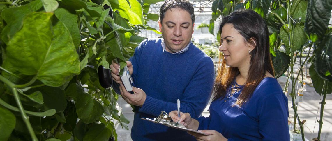Niagara College earns third Technology Access Centre with federal funding investment