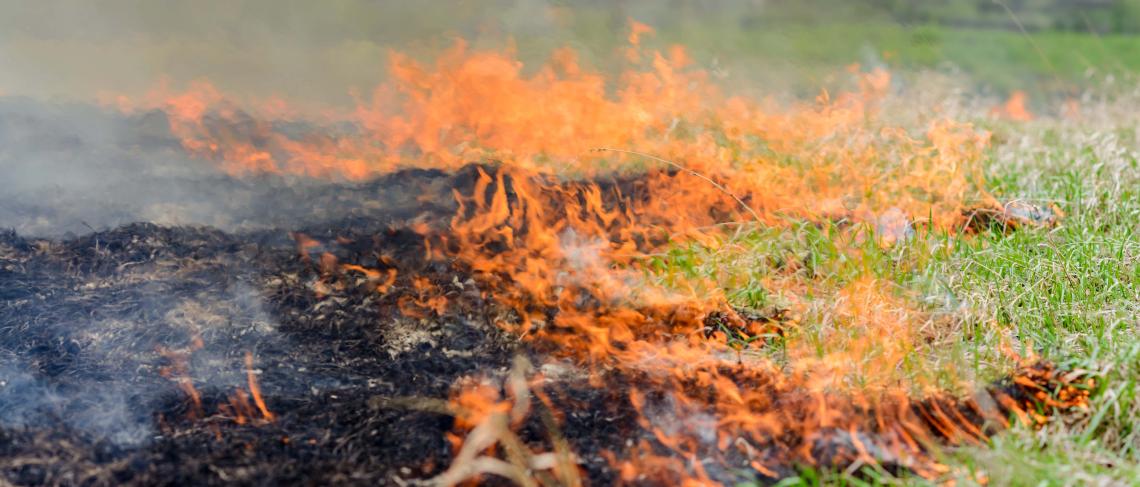 Pelham issues Fire Ban due to dry weather conditions