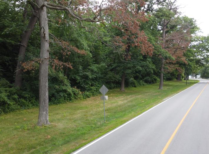 Notice of Construction along North Niagara Parkway