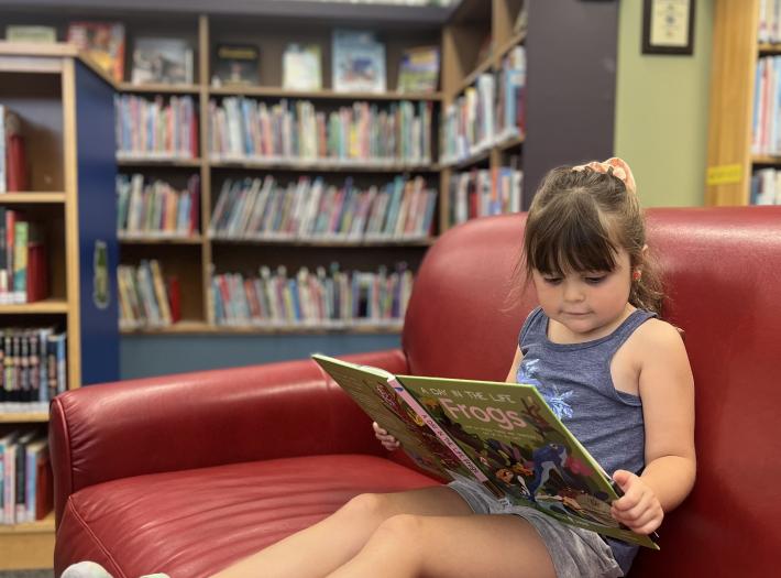 Donation opens ‘world of possibilities’ to young readers in Port Colborne