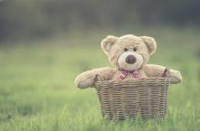 Teddy bear picnic returns to Morningstar Mill