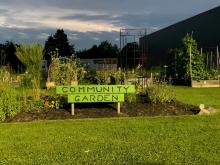 Community Garden damage