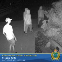 Heartland Forest Vandalism Incident Under Investigation – Niagara Falls