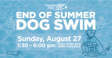 CITY TO HOST DOGS-ONLY SWIM AT BUCK HINSPERGER POOL ON SUNDAY, AUGUST 27