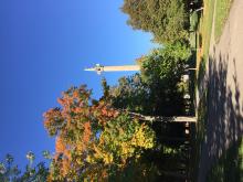 Battle of Queenston Heights Commemorative Tours  October 13, 2023