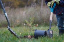 Niagara Parks Hosts Community Tree Planting Day at Old Fort Erie