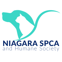 NIAGARA SPCA CONNECTS ADOPTABLE PETS WITH LOVING HOMES DURING PETSMART CHARITIES OF CANADA’S  NATIONAL ADOPTION WEEK