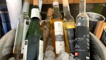 Niagara-on-the-Lake Icewine Festival 2024: A Celebration of Winter and Wine