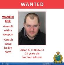 Male Wanted for Assault with a Weapon in Welland